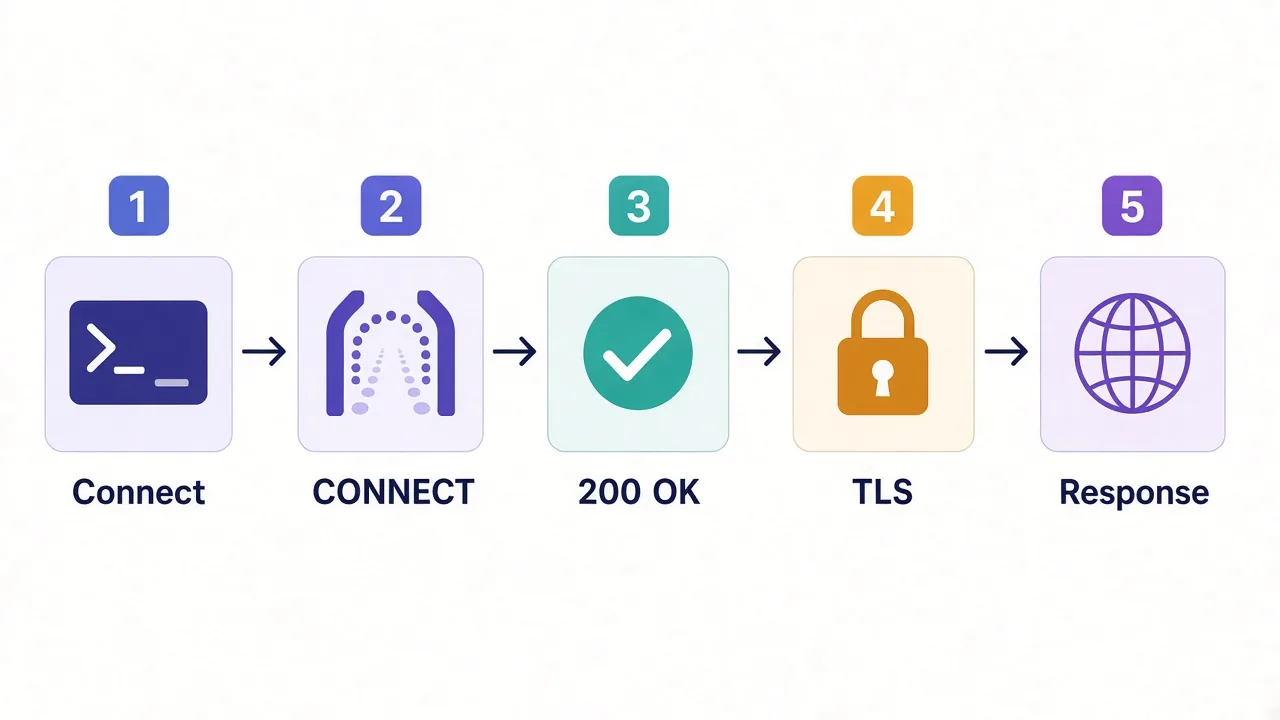 Left-to-right flow of a curl request through an HTTP proxy: connect to proxy, CONNECT tunnel, 200 established, TLS handshake, site response